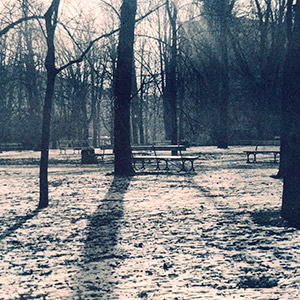 arbres-dans-parc-enneiges-aube-varsovie-pologne-tirage-lith-bleu