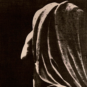 statue-femme-mysterieuse-visage-cache-tirage-gomme-bichromatee